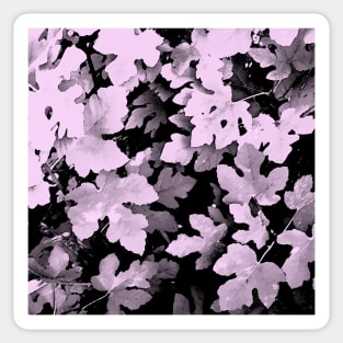 Fallen leaves,  purple, lilac, fall, autumn, leaves, pattern, leaf, botanical, xmas, christmas, spring, holidays, summer, tropical, Sticker
